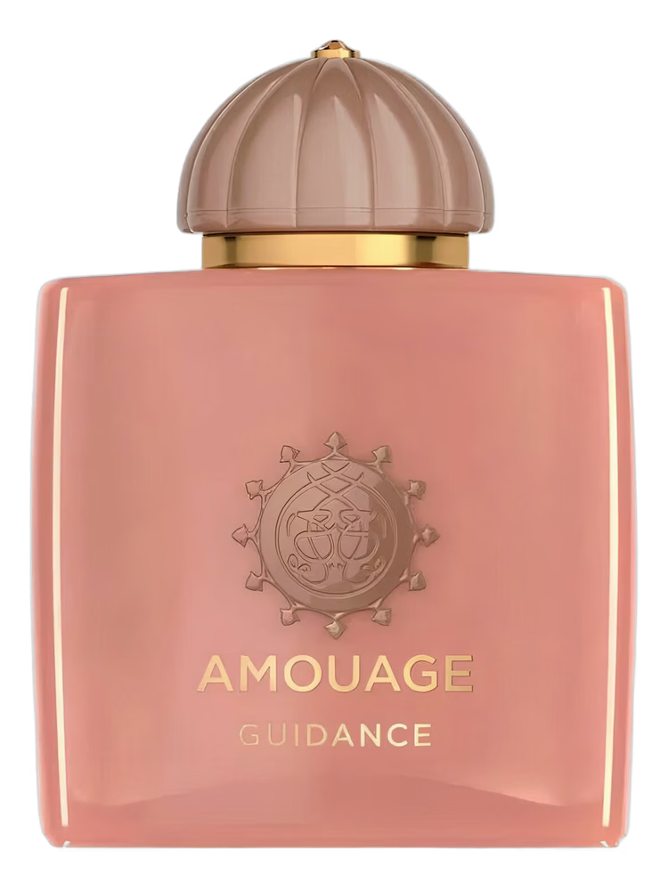 Amouage Guidance